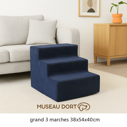 Escalier pour Chien / Rampe pour Chien Âgé - Museau dort