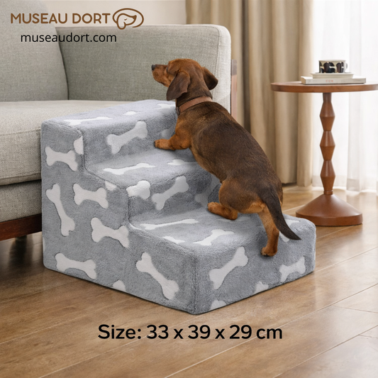 Escalier pour chien avec teckel montant au canapé, 3 marches en mousse, dimensions 33 x 39 x 29 cm, Museau Dort