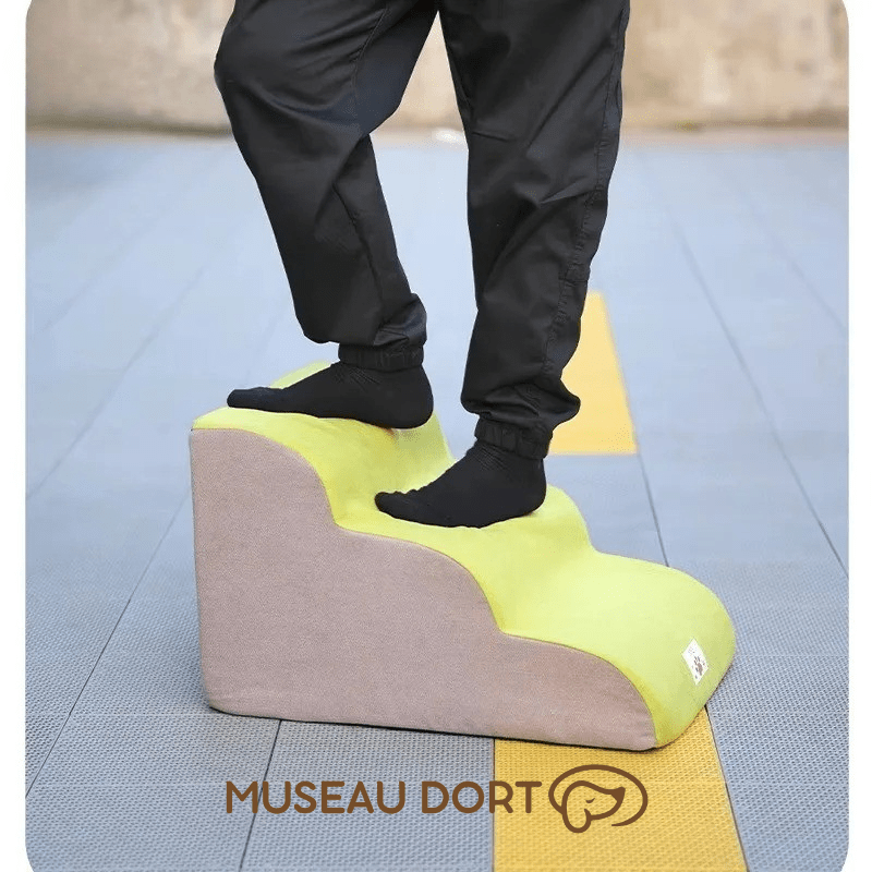 Escalier pour chien testé pour la stabilité, supporte le poids d’un adulte – Museau Dort