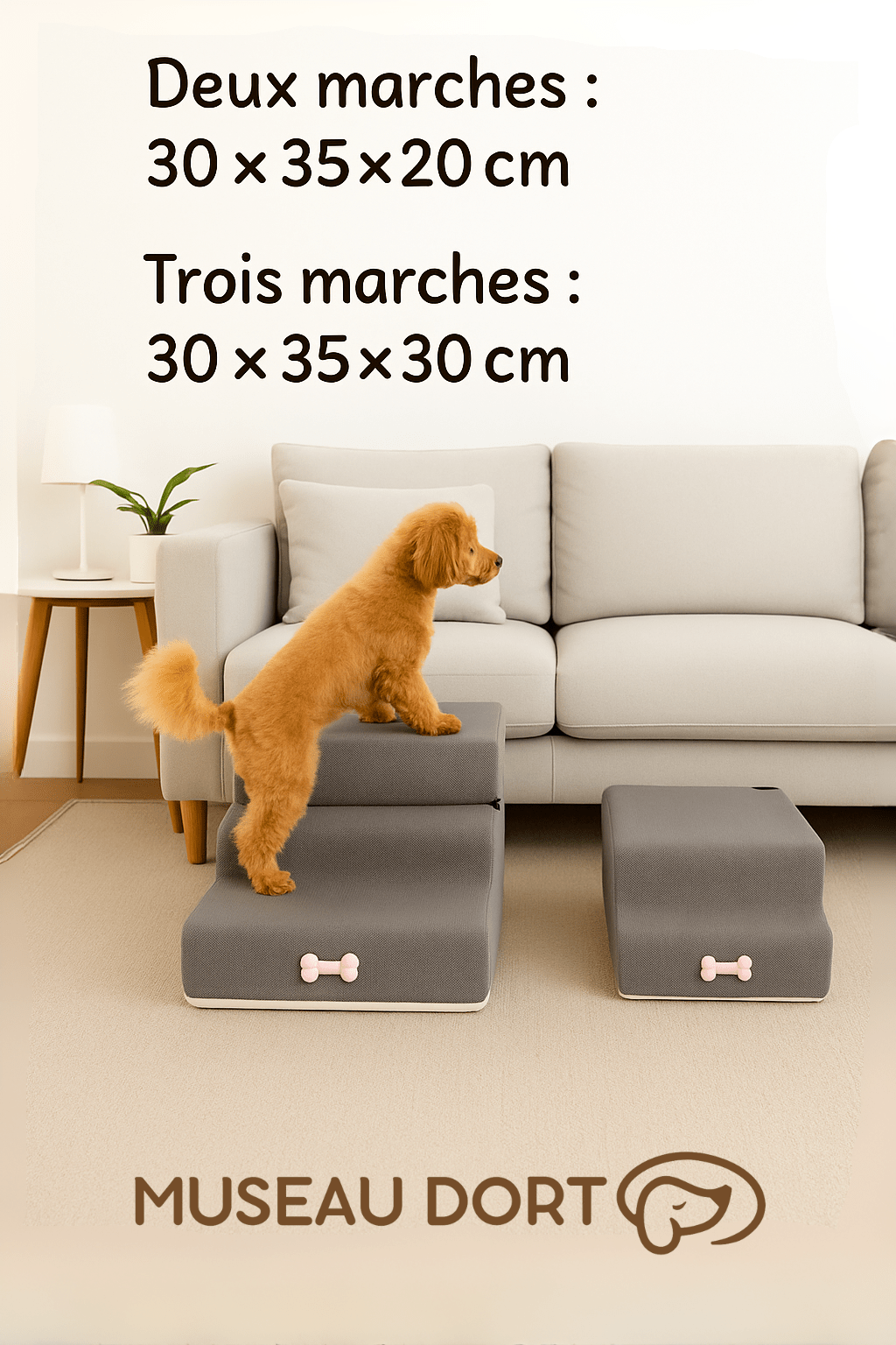 Escalier pour Petit Chien | Sécurité, Autonomie et Zéro Saut Inutile - Museau dort