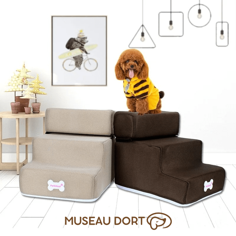 Escalier pour Petit Chien | Sécurité, Autonomie et Zéro Saut Inutile - Museau dort