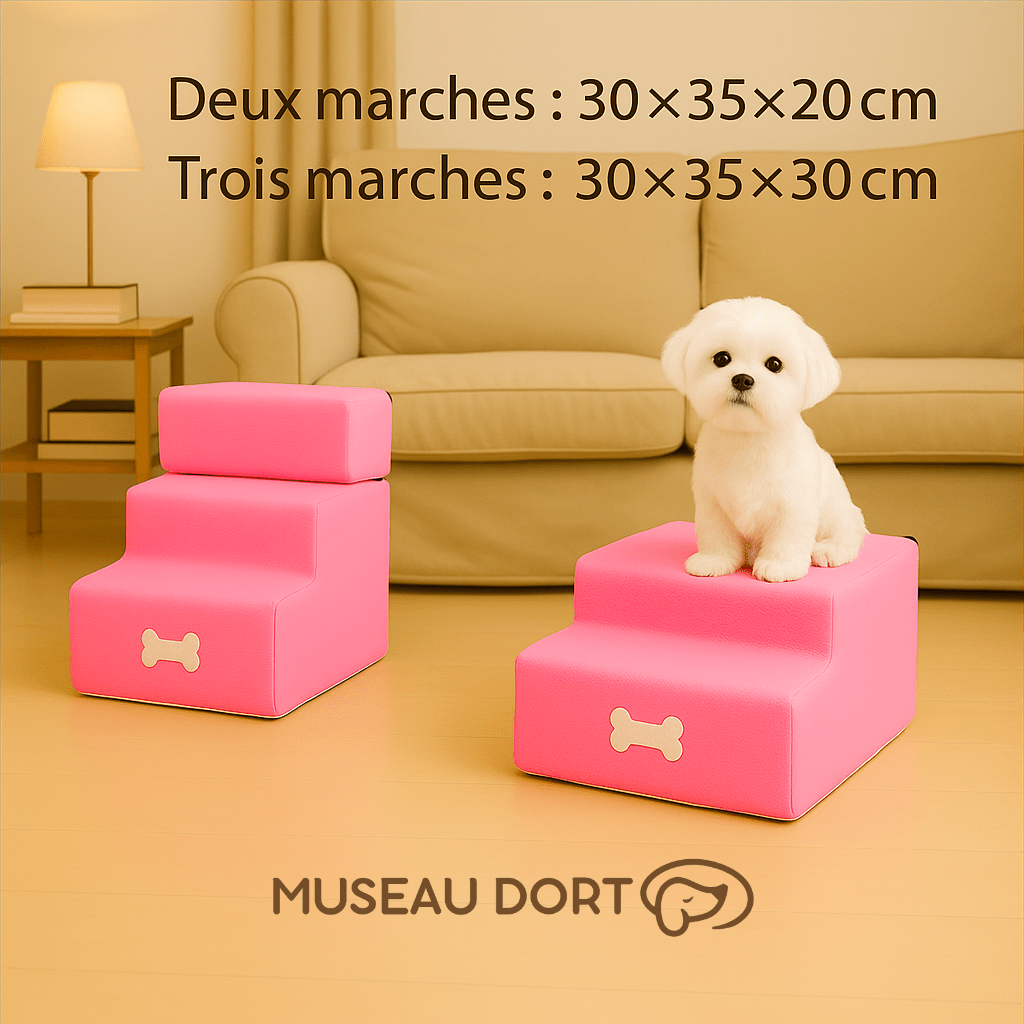 Escalier pour Petit Chien | Sécurité, Autonomie et Zéro Saut Inutile - Museau dort