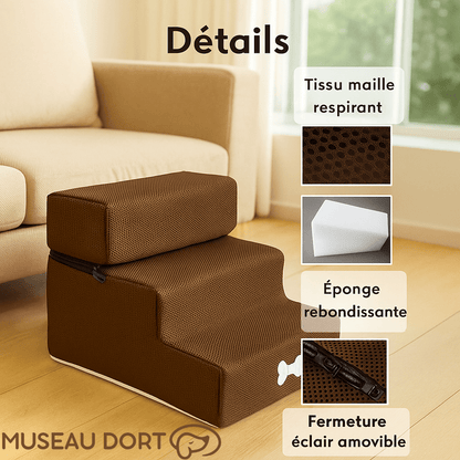 Escalier pour Petit Chien | Sécurité, Autonomie et Zéro Saut Inutile - Museau dort