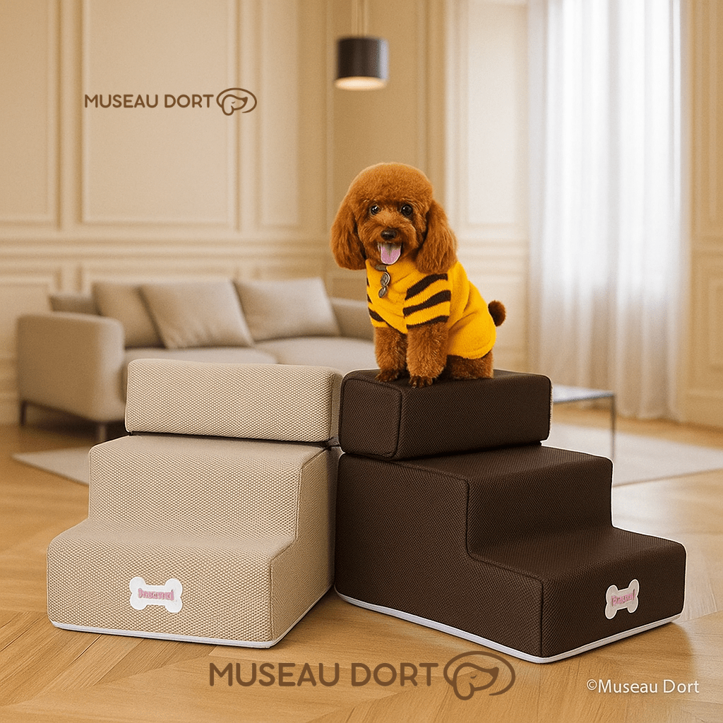 Escalier pour Petit Chien | Sécurité, Autonomie et Zéro Saut Inutile - Museau dort