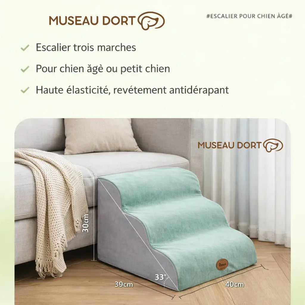 Escalier trois marches pour chien âgé ou petit chien, revêtement antidérapant, Museau Dort
