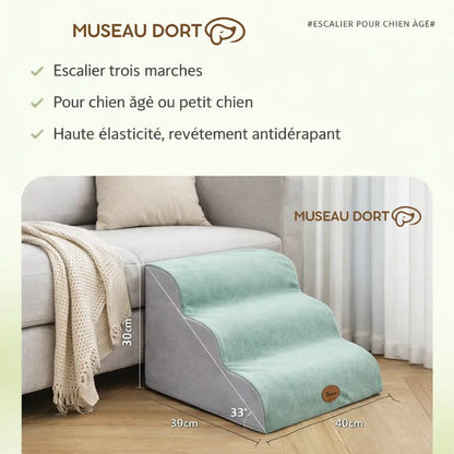 Escalier trois marches pour chien âgé ou petit chien, revêtement antidérapant, Museau Dort