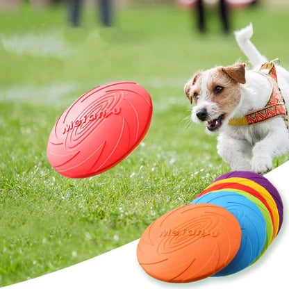 Chien courant pour attraper un frisbee souple coloré, disque résistant idéal pour jouer en extérieur avec son maître