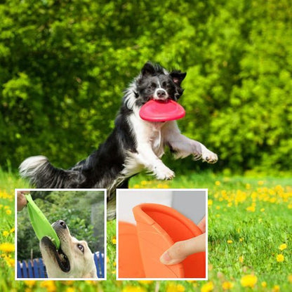 Chien sautant pour attraper un frisbee souple en plein air, disque résistant idéal pour les jeux actifs et l’entraînement.