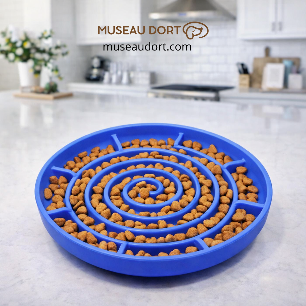 Gamelle anti glouton chien bleue posée dans une cuisine moderne pour ralentir les repas et améliorer la digestion.