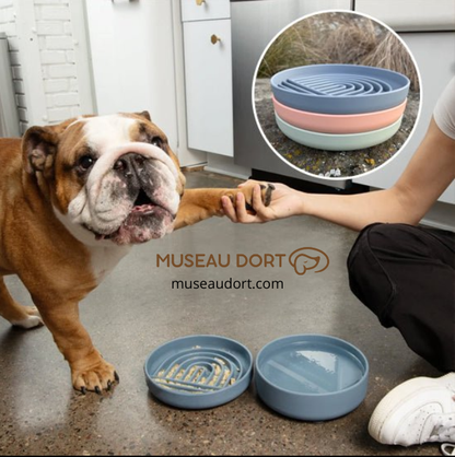 Gamelle anti glouton chien présentée à un bouledogue lors du repas pour ralentir l’alimentation à la maison – Museau Dort
