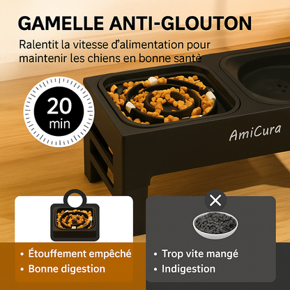 Gamelle anti-glouton pour chien, favorise une alimentation plus lente et une bonne digestion. Disponible chez Museau Dort.