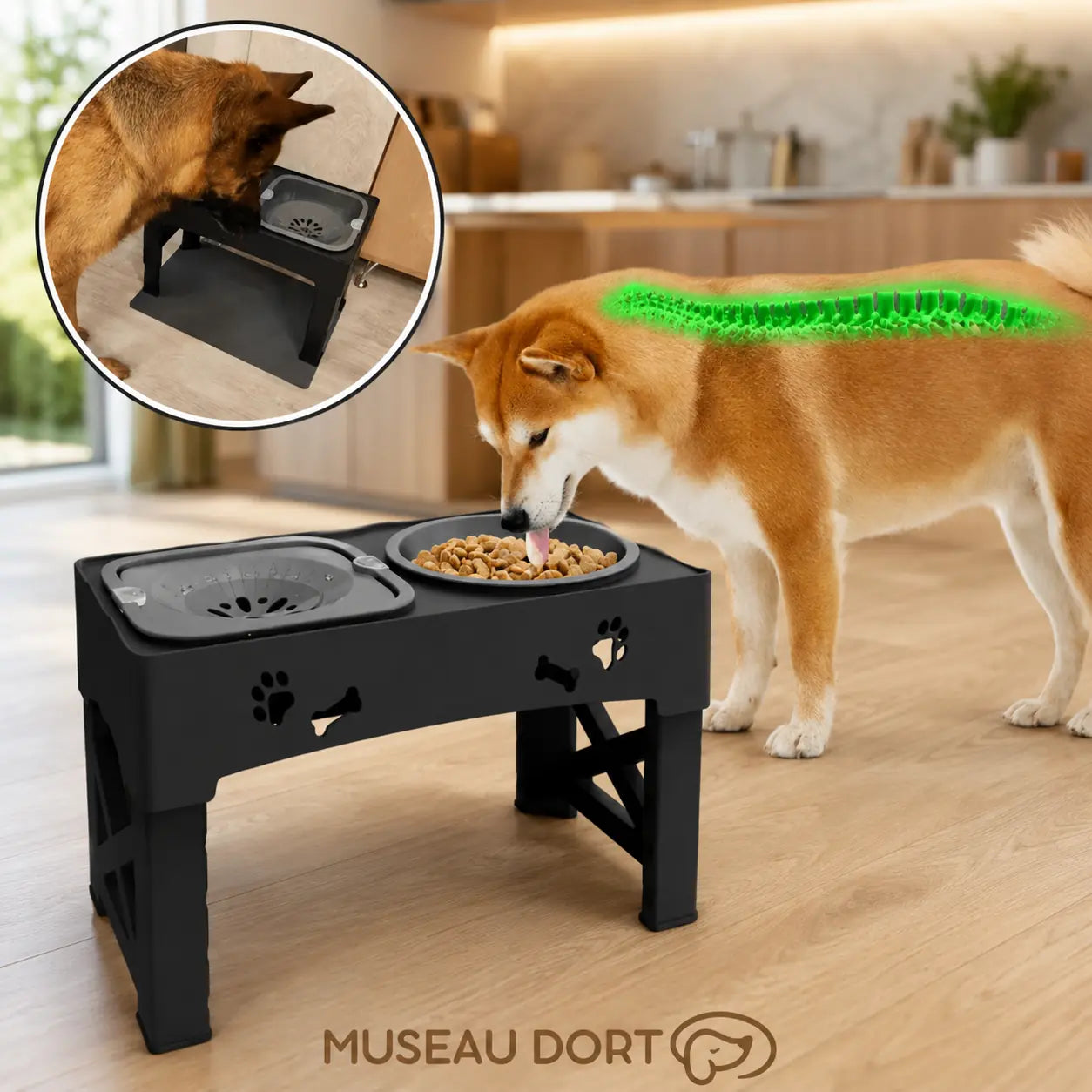 Chien mangeant dans une gamelle anti-glouton surélevée avec indication de posture confortable