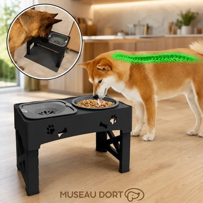 Chien mangeant dans une gamelle anti-glouton surélevée avec indication de posture confortable