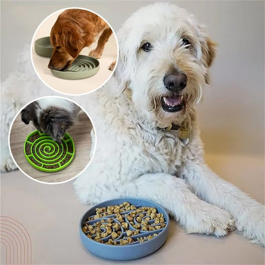 Chien utilisant une gamelle anti glouton pour manger lentement – Disponible chez Museau Dort
