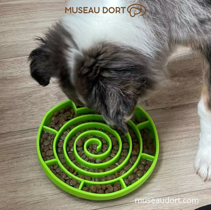 Gamelle anti glouton chien verte utilisée pour ralentir les repas et améliorer la digestion du chien – Museau Dort