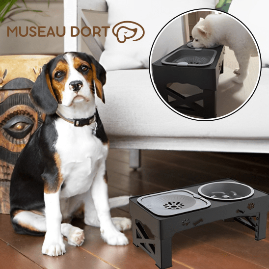 Gamelle Anti Glouton pour Chien | Mangez Lentement, Vivez Mieux ! - Museau dort
