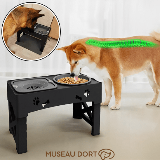 Gamelle Anti Glouton pour Chien | Mangez Lentement, Vivez Mieux ! - Museau dort