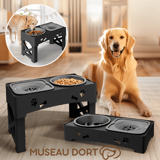 Gamelle Anti Glouton pour Chien | Mangez Lentement, Vivez Mieux ! - Museau dort