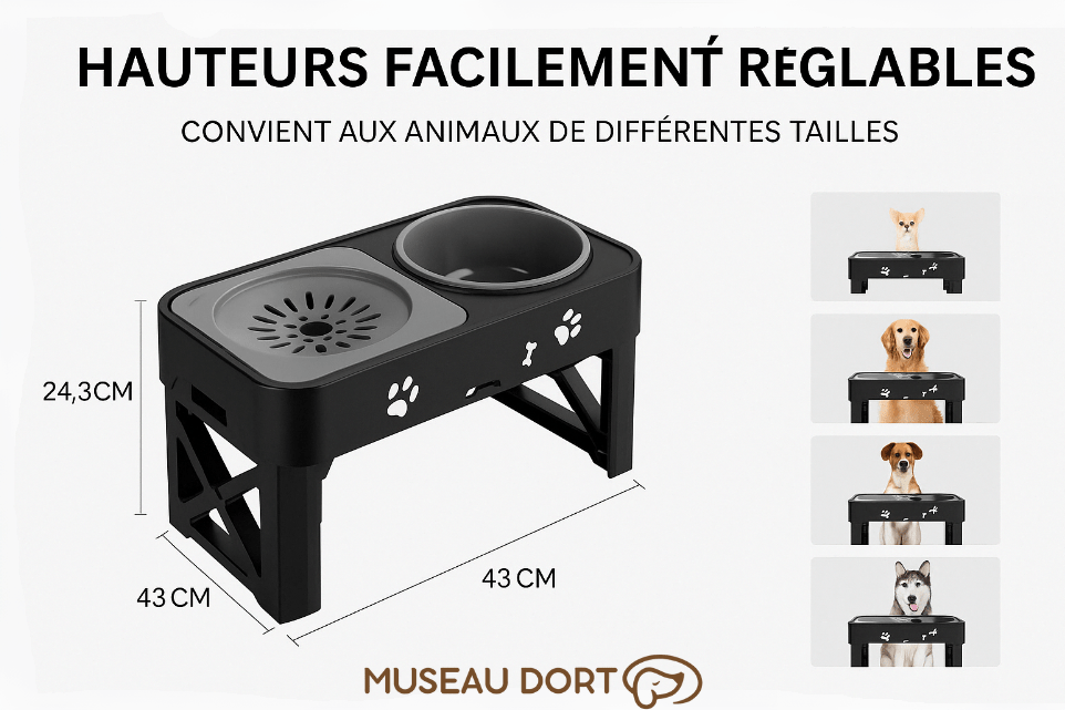 Gamelle Anti Glouton pour Chien | Mangez Lentement, Vivez Mieux ! - Museau dort