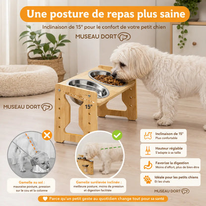 Petit chien utilisant une gamelle surélevée en bambou inclinée à 15° avec deux bols en inox
