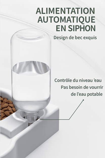 Gamelle Double avec Distributeur d’Eau | Pratique, Propre et Zen au Quotidien - Museau dort