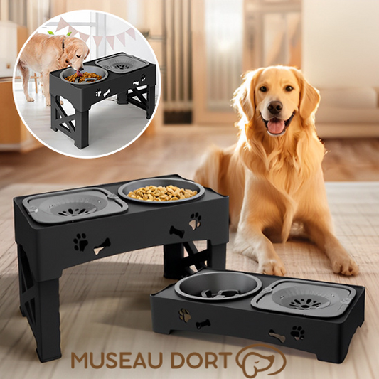 Chien golden retriever assis devant une gamelle double anti glouton noire réglable – Disponible chez Museau Dort