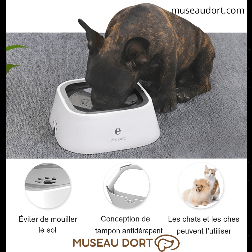 Bouledogue buvant dans une gamelle flottante Els Pet, antidérapante et antiéclaboussures, adaptée aux chiens et chats.