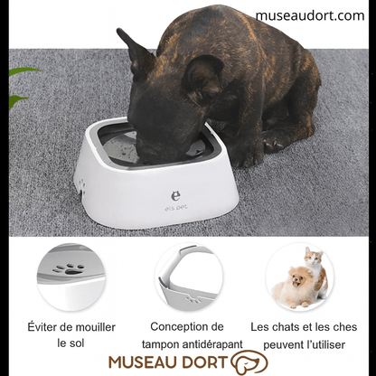Bouledogue buvant dans une gamelle flottante Els Pet, antidérapante et antiéclaboussures, adaptée aux chiens et chats.