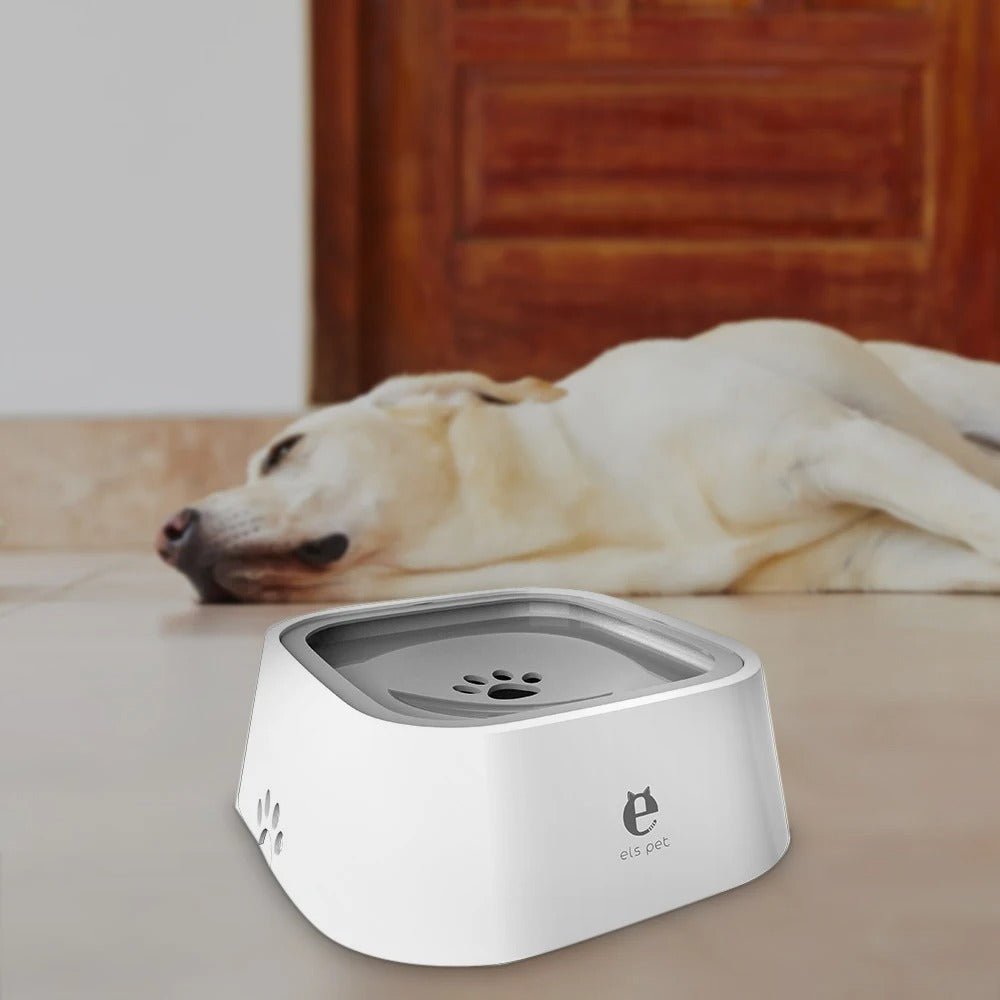 Gamelle flottante carrée els-pet pour chien, design moderne avec empreinte de patte, dans un salon lumineux. Museau Dort