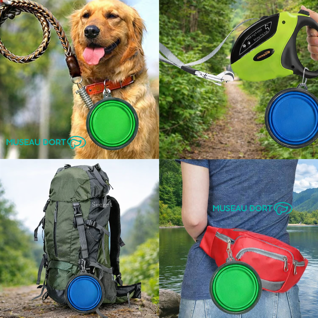 Gamelle pliable pour chien avec mousqueton, accrochée à une laisse, un sac et une ceinture lors de balades en nature.
