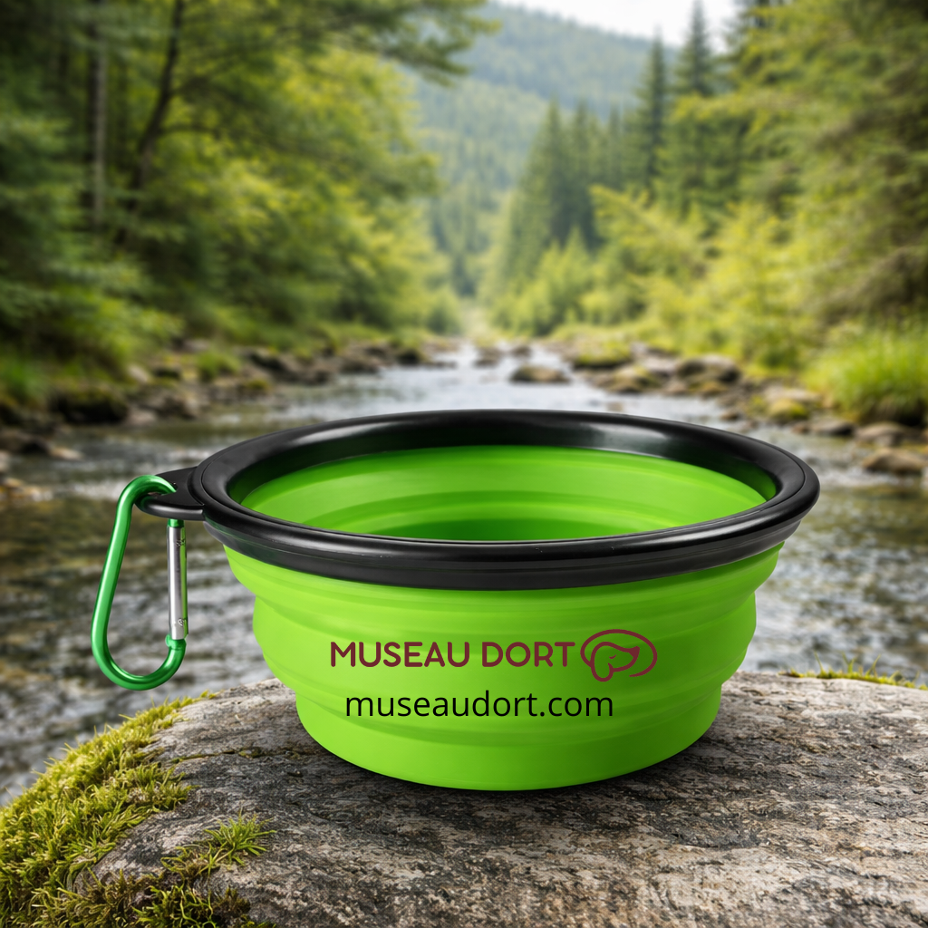 Gamelle pliable pour chien en silicone verte avec mousqueton, posée en nature près d’une rivière, Museau Dort
