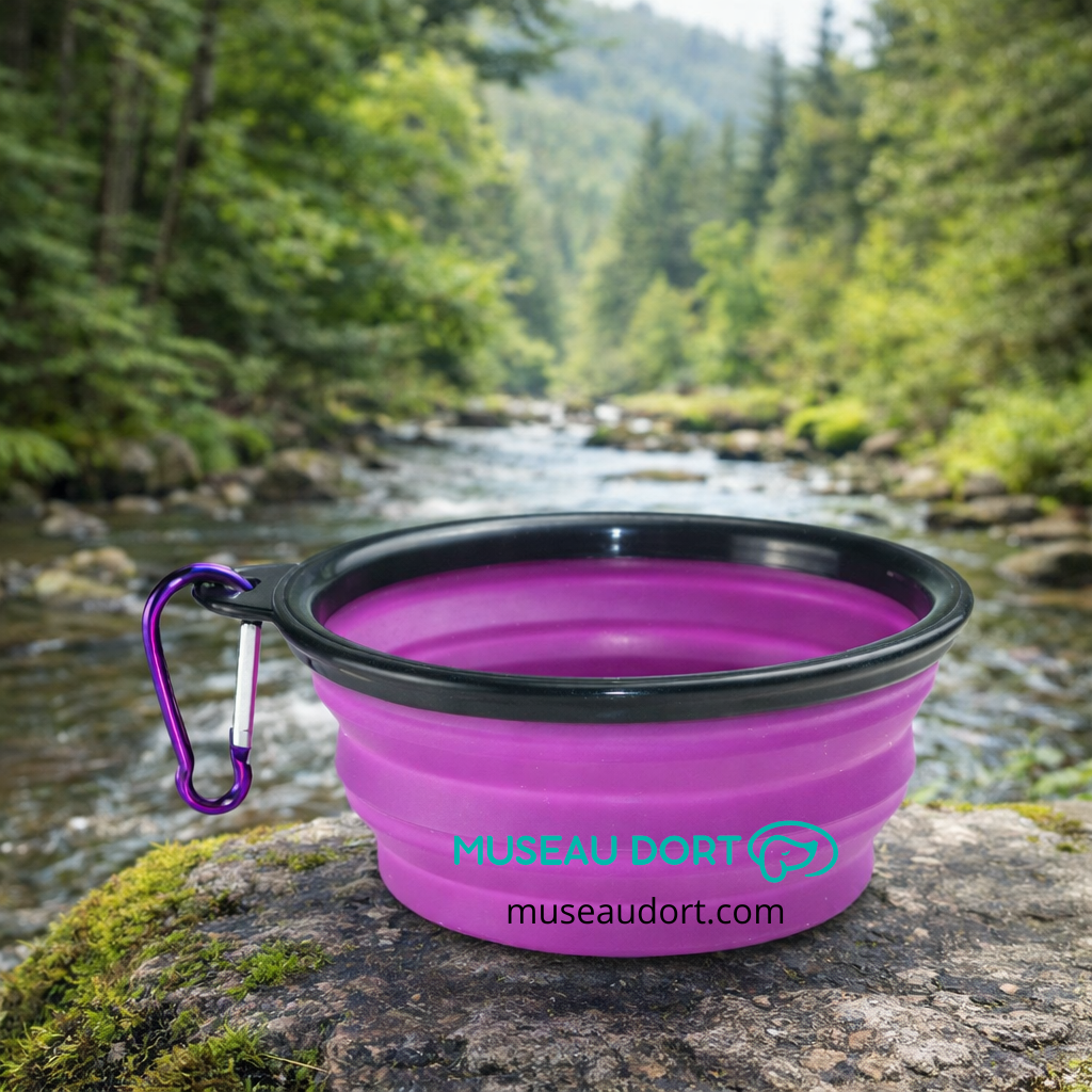 Gamelle pliable pour chien en silicone violette avec mousqueton, posée en nature près d’une rivière, Museau Dort