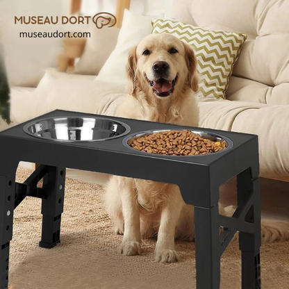 Gamelle pour chien favorisant une posture naturelle et une meilleure digestion chez les grands chiens à la maison – Museau Dort