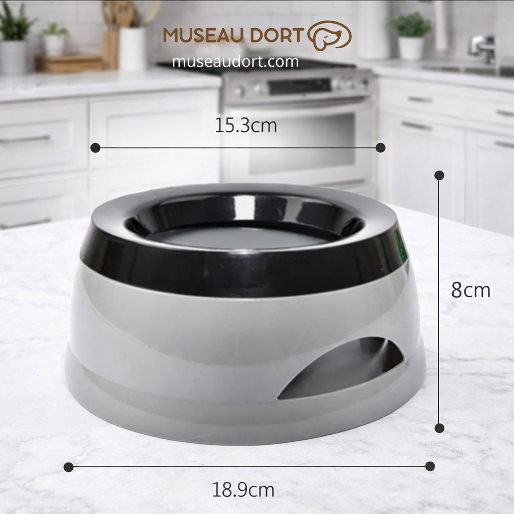 Gamelle pour chien avec dimensions visibles posée sur plan de travail dans une cuisine moderne Museau Dort