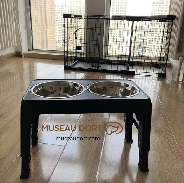 Gamelle pour chien avec double bol en inox sur support stable, idéale pour les repas sur sol lisse en intérieur – Museau Dort
