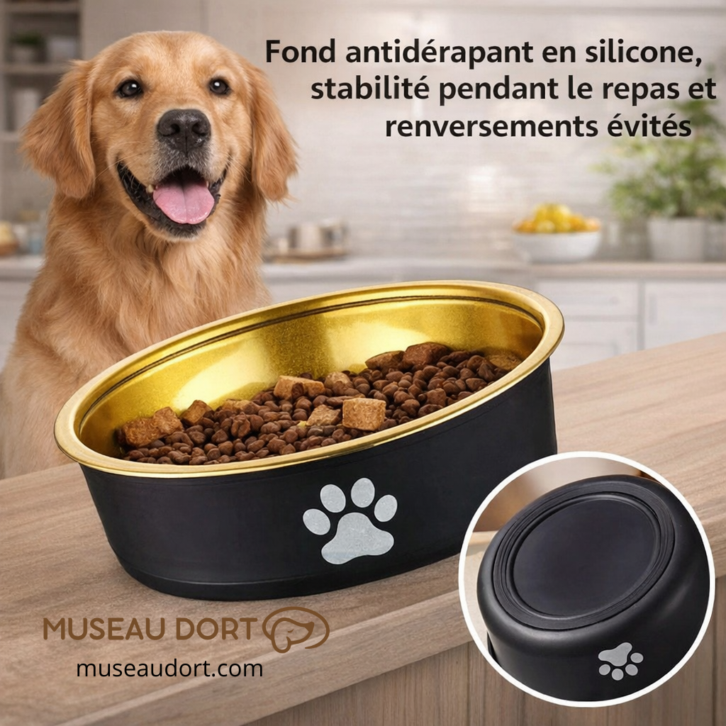Gamelle pour chien avec fond antidérapant en silicone, stable pendant le repas, évite les renversements – Museau Dort