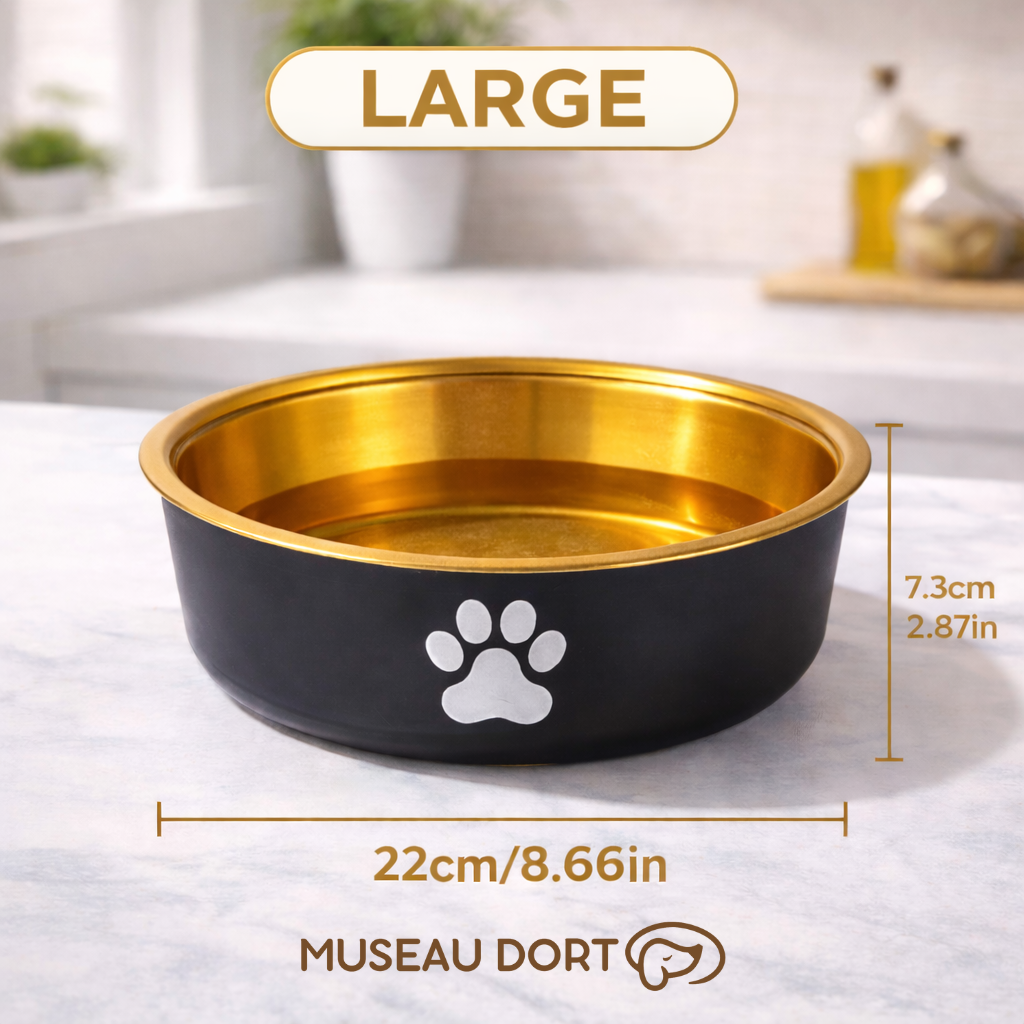 Gamelle pour chien grande taille en acier inoxydable coloris or, stable et hygiénique, sur plan de cuisine moderne.