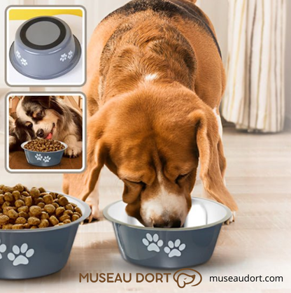 Gamelle pour chien antidérapante en inox, stable et silencieuse, utilisée par un chien à la maison, Museau Dort Pro