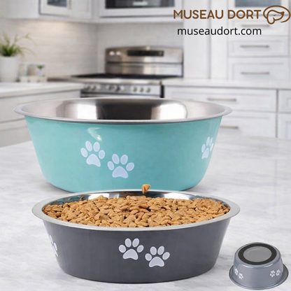 Gamelle pour chien antidérapante en inox, stable et hygiénique, en gris et vert, dans une cuisine moderne, Museau Dort