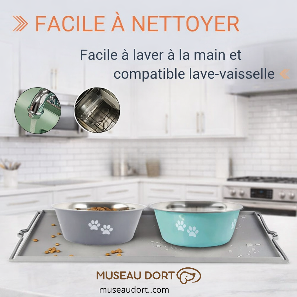 Gamelle pour chien en inox facile à nettoyer, lavage à la main ou lave-vaisselle, stable au quotidien, Museau Dort