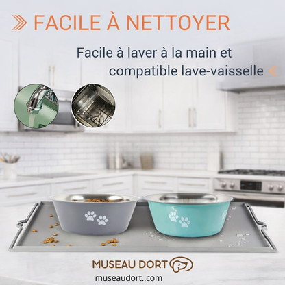 Gamelle pour chien en inox facile à nettoyer, lavage à la main ou lave-vaisselle, stable au quotidien, Museau Dort