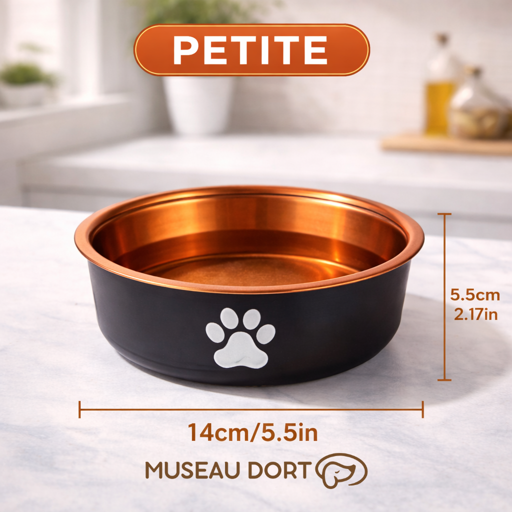 Gamelle pour chien petite taille en acier inoxydable coloris bronze, stable et hygiénique, sur plan de cuisine moderne.