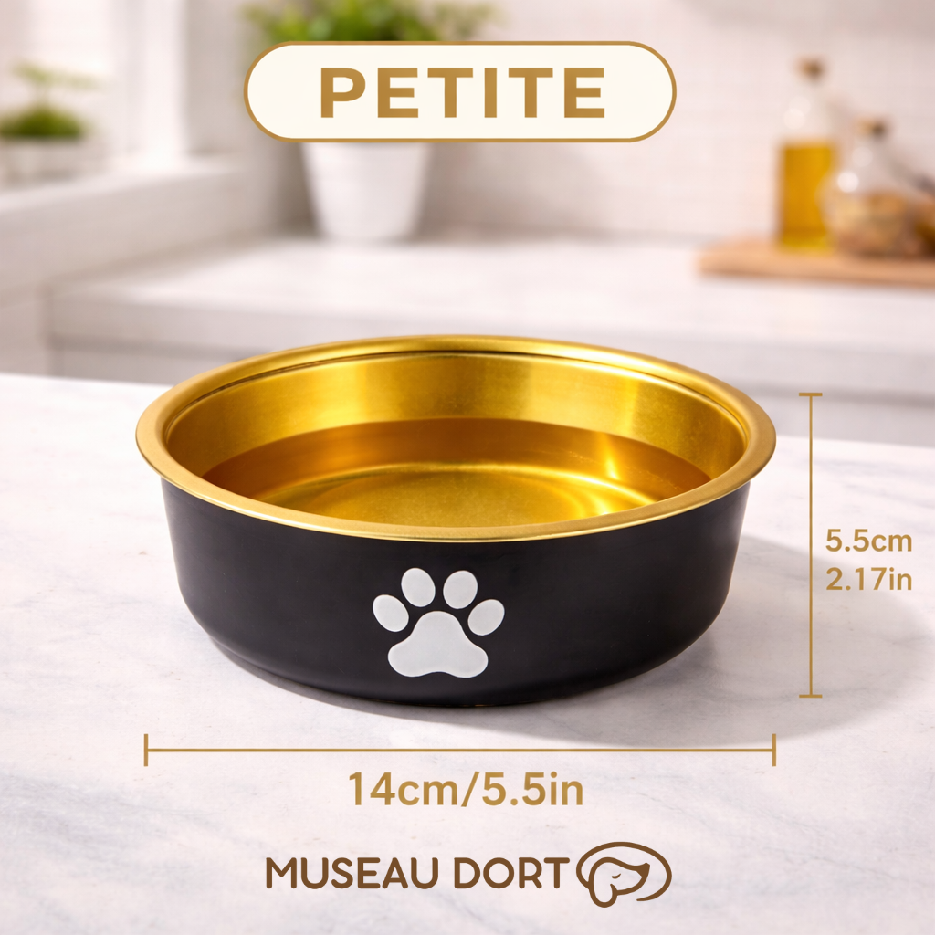 Gamelle pour chien petite taille en acier inoxydable coloris or, stable et hygiénique, cuisine moderne – Museau Dort