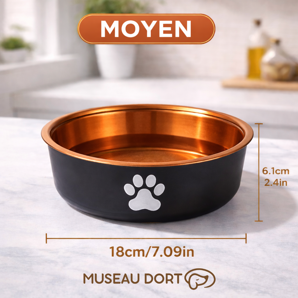 Gamelle pour chien taille moyenne en acier inoxydable coloris bronze, stable et hygiénique, sur plan de cuisine moderne.