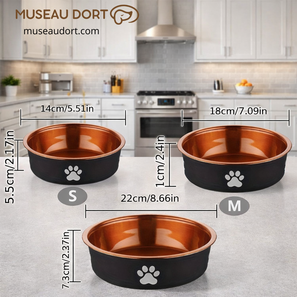 Gamelle pour chien en acier inoxydable coloris bronze, tailles S M et L, avec dimensions visibles, en cuisine moderne.