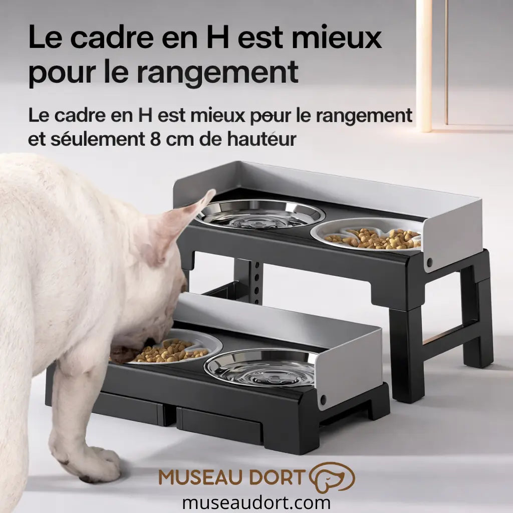 Gamelle surélevée pour chien avec cadre en H compact, facile à ranger et hauteur basse de 8 cm