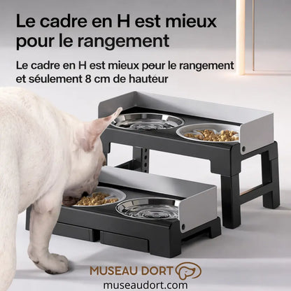 Gamelle surélevée pour chien avec cadre en H compact, facile à ranger et hauteur basse de 8 cm