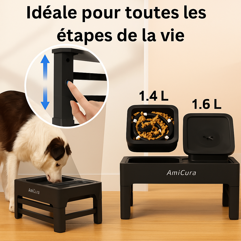 Gamelle surélevée réglable AmiCura idéale pour chien et chat à toutes les étapes de la vie, capacité 1,4 L et 1,6 L. Disponible chez Museau Dort.