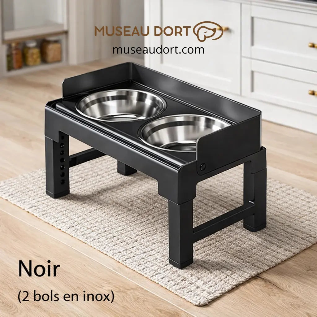 Gamelle surélevée pour chien noir avec 2 bols en inox, réglable, stable et idéale pour repas propre