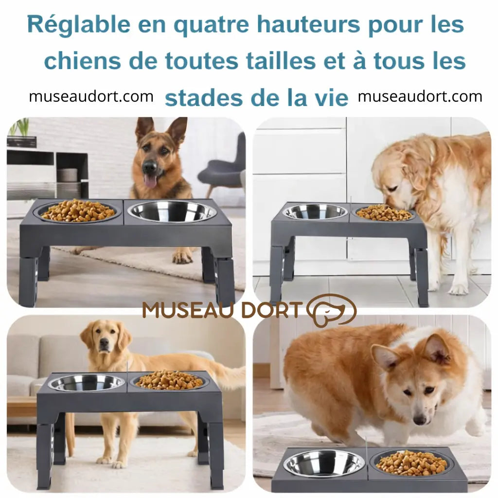 gamelle surélevée pour chien réglable en quatre hauteurs adaptée aux chiens de toutes tailles Museau Dort